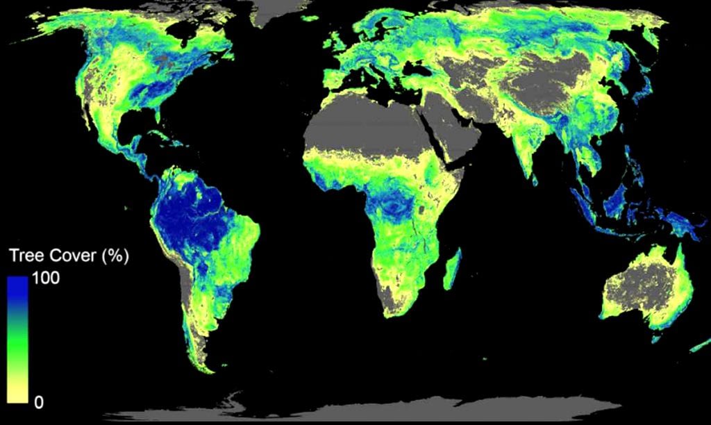 Tree Cover World Map ETH Zurich Website Released 1024x612 1