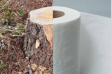 Не изхвърляйте горите в тоалетната