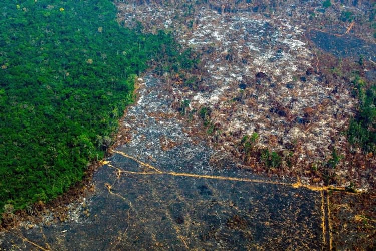 Обезлесяване-Амазония